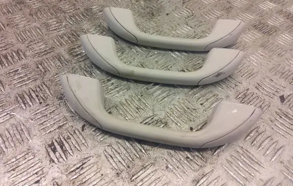 Dacia Duster II A set of handles for the ceiling 