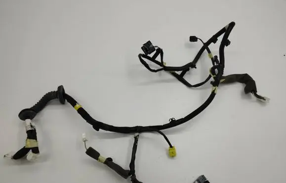 Renault Kadjar Front door wiring loom 241251894R