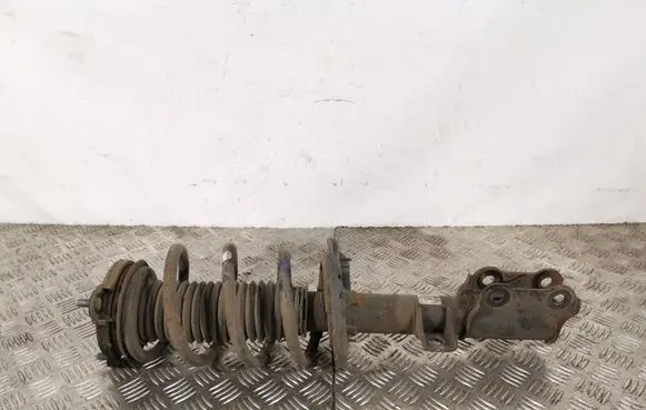 Hyundai Tucson TL Front shock absorber with coil spring