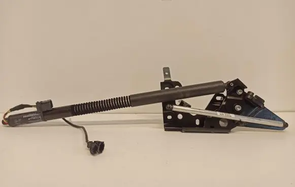 Tailgate strut