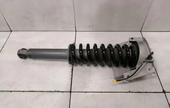 Aston Martin DB9 Rear shock absorber with coil spring DG4318W002DB
