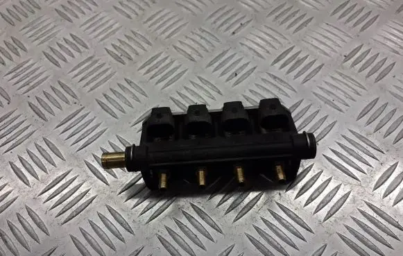 Volkswagen Bora LP gas injector 67R-017064