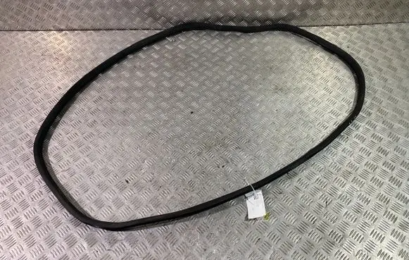 Mercedes-Benz GL X166 Front door rubber seal A1666970051