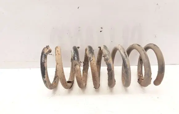 Opel Antara Rear coil spring