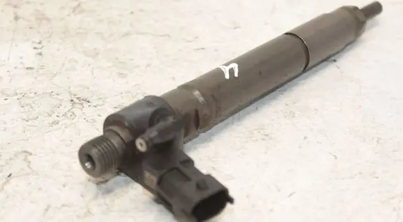 Land Rover Evoque I Fuel injector 9687454480