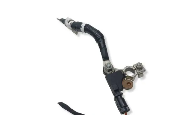 Chrysler Pacifica Negative earth cable (battery) 56029713AC 0199200121 19224BG