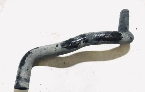 Nissan Almera Tino Engine coolant pipe/hose