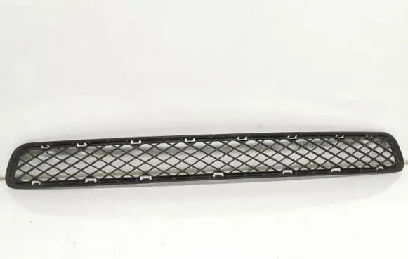 Front bumper upper radiator grill