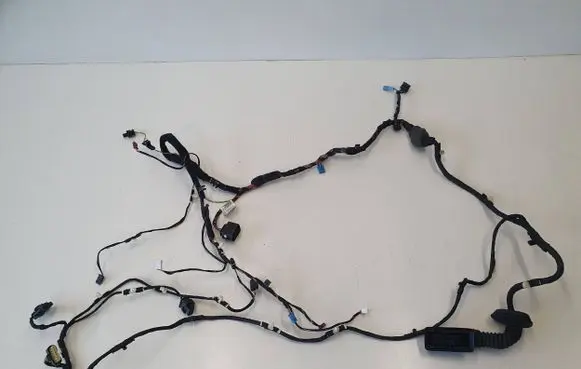 BMW 5 G30 G31 Front door wiring loom 9370948 6099096L 8103104Z