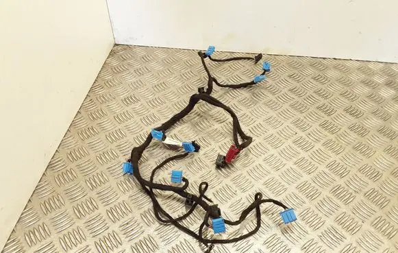 Audi A6 S6 C6 4F Other wiring loom CZ2464701462