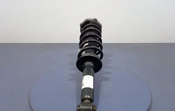 BMW X4 F26 Rear shock absorber/damper 6890945