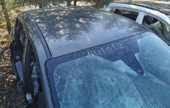 Ford C-MAX II Roof 