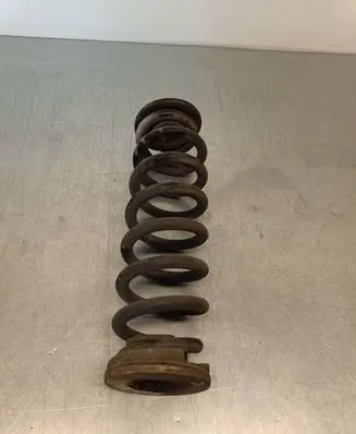 Opel Insignia B Rear coil spring 