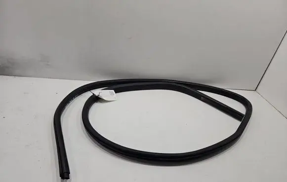 BMW X1 E84 Front door rubber seal 0000