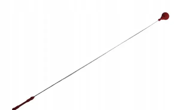 Oil level dip stick