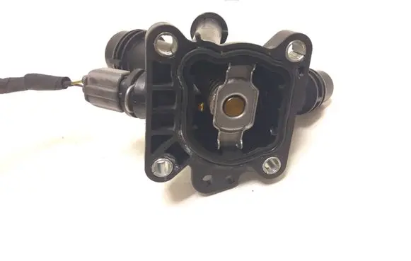 Thermostat/thermostat housing