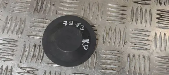 Headlight/headlamp dust cover