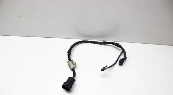 Other wiring loom