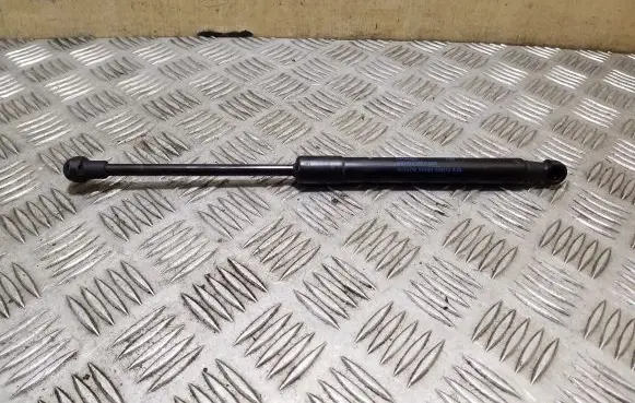 Front bonnet/hood damper/strut