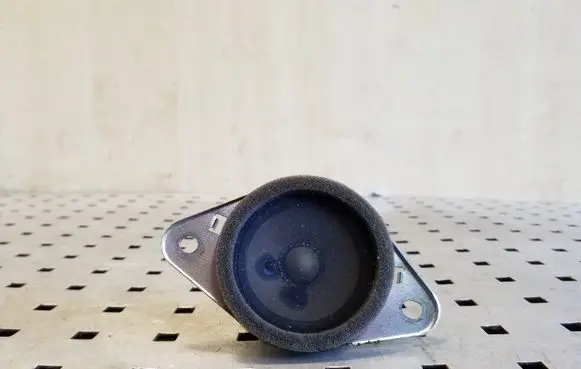 Panel speaker