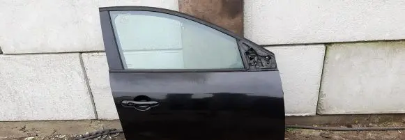 Renault Megane III Front door