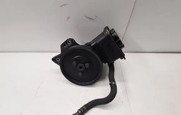 BMW 5 E39 Power steering pump 7691974 1095749
