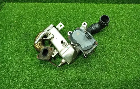 Renault Trafic III (X82) EGR valve H8201068965 147102408R VN1501000481