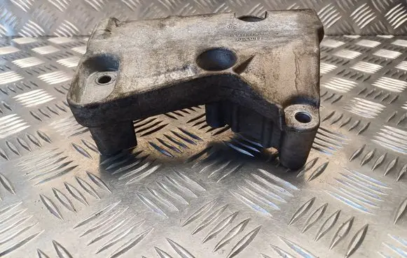 Renault Kangoo II Engine mounting bracket 112317173R