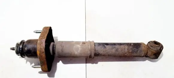 Mitsubishi Outlander Rear shock absorber/damper 4162a050