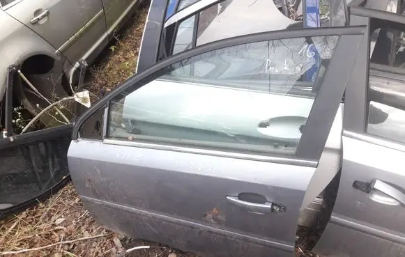 Opel Signum Front door