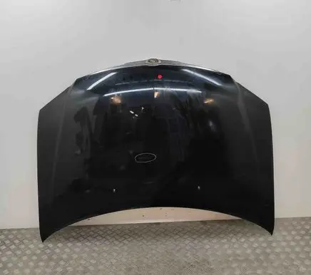 Chrysler Pacifica Engine bonnet/hood 4719658AD