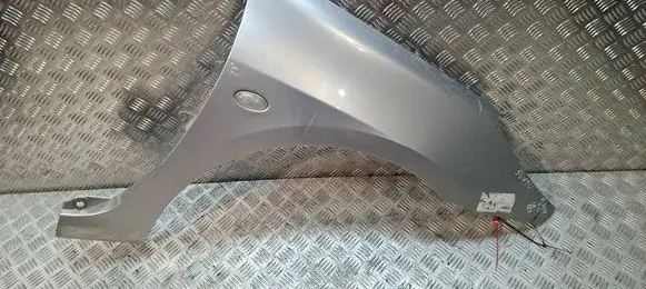 Peugeot 307 Fender S27610887