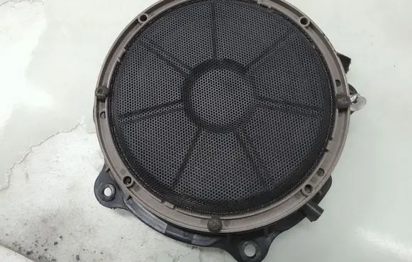 Citroen C5 Rear door speaker