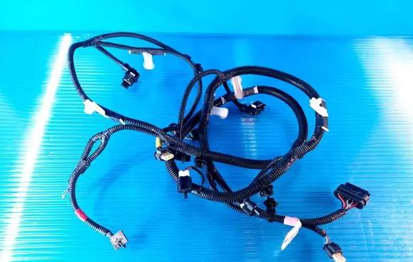 Tesla Model 3 Other wiring loom 106795800E