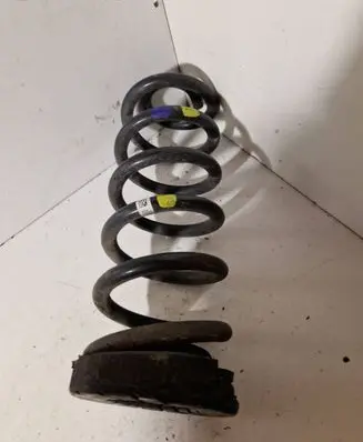 Rear coil spring