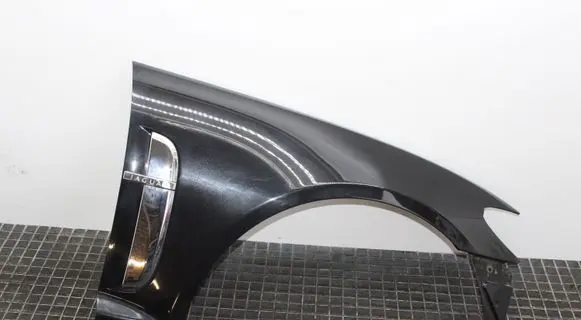 Jaguar XF X250 Fender