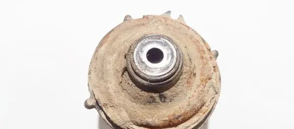 Coil spring mount