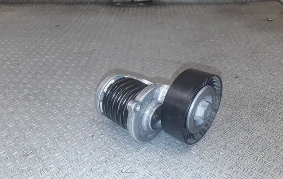 Audi A4 S4 B7 8E 8H Generator/alternator belt tensioner 950330