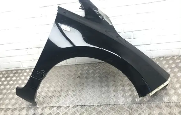 Nissan Leaf I (ZE0) Fender