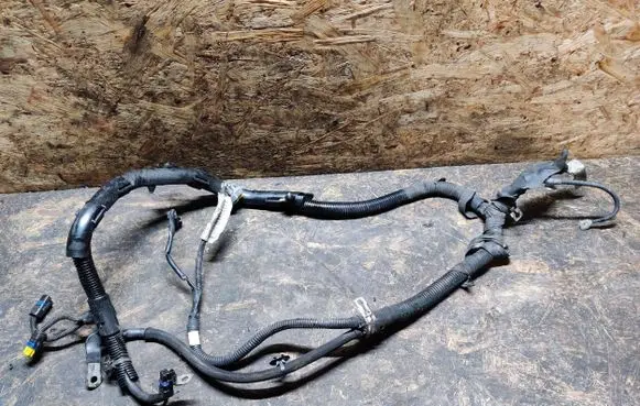 Citroen C6 Positive cable (battery) 9660338880