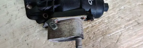 Hyundai i30 Engine oil radiator 264102A300