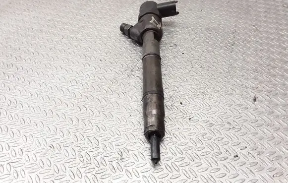 Hyundai i30 Fuel injector 0445110256 338002A400