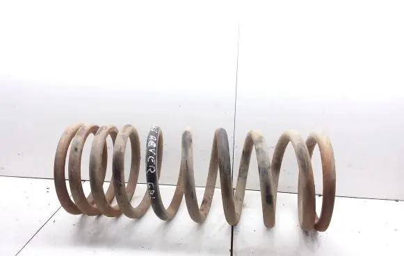 Land Rover Discovery Rear coil spring