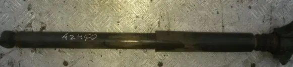 Ford Focus Rear shock absorber/damper