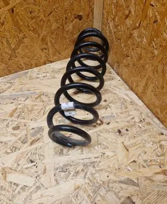 Rear coil spring