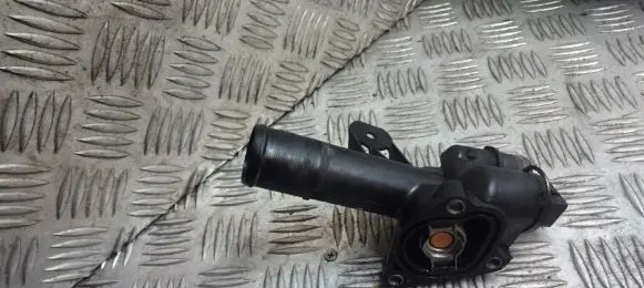 Thermostat/thermostat housing