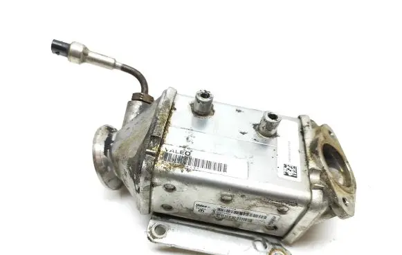 EGR valve cooler
