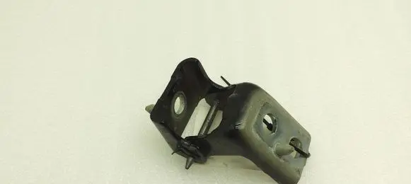 Citroen C4 Cactus Front door lower hinge 