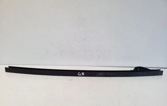 Nissan Pathfinder R51 Rear door windshield rail 