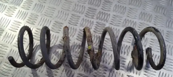 Ford Focus Rear coil spring
